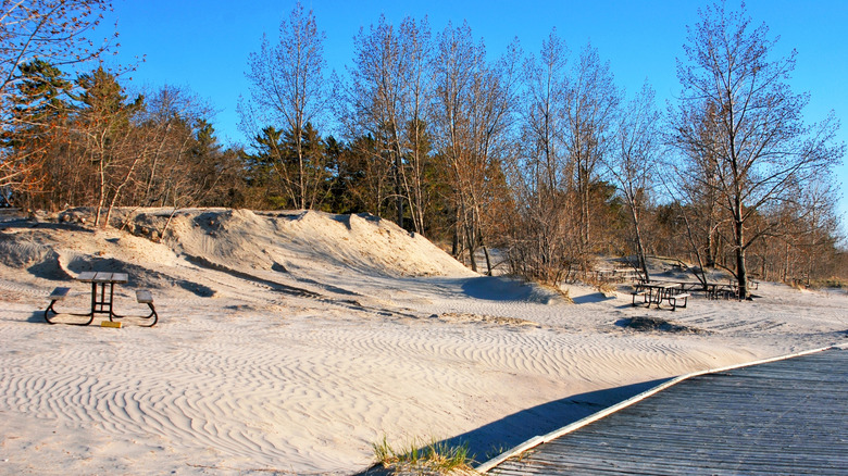 Dunes, picnic tables, and a boardwalk along Wasaga Beach