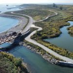 The pedestrian bridge at Jim Tovey Lakeview Conservation Area connects visitors across restored aquatic channels and wetlands along the Lake Ontario shoreline.. 