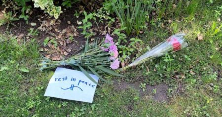Young Teen Arrested for Murder in Pickering Young Teen Arrested for Murder in Pickering