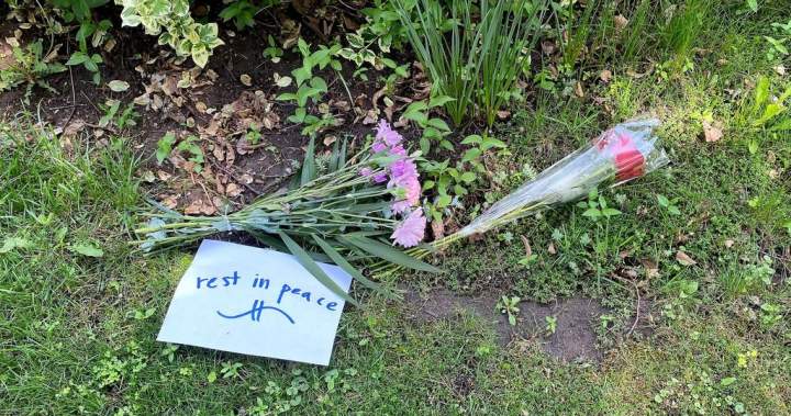 Young Teen Arrested for Murder in Pickering Young Teen Arrested for Murder in Pickering