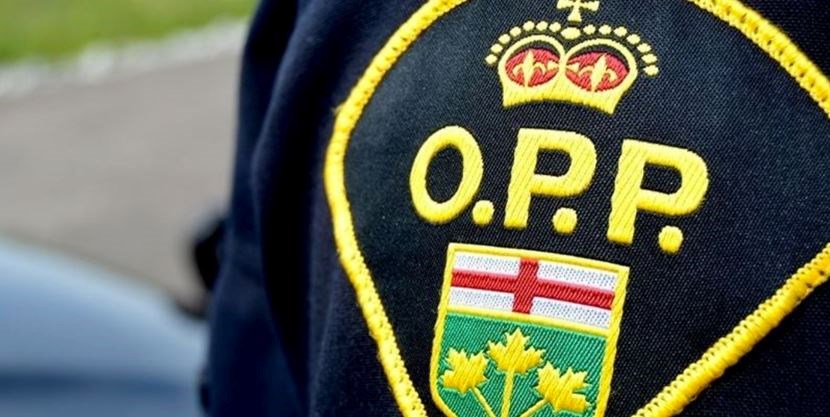 Arrests Made in Perth Park Murder Case Arrests Made in Perth Park Murder Case