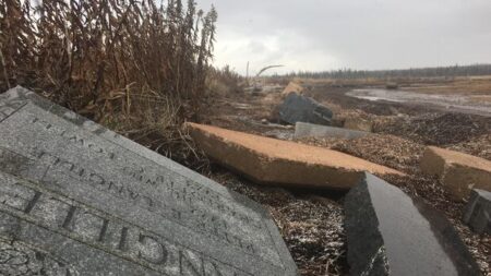 Unusual Find on Port Elgin Beach Stuns Collector
