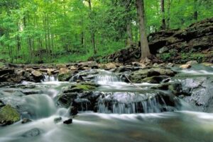 Summer Activities in Halton Region for 2025