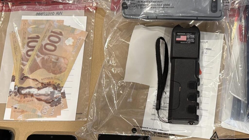 Aylmer Police Charge Several After St. Thomas Raid