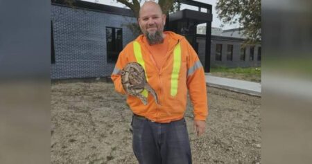 Snake Discovered at Ontario Wastewater Facility Snake Discovered at Ontario Wastewater Facility
