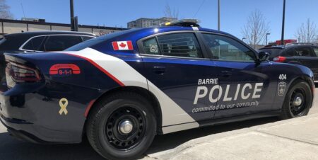 Dog Search in Barrie Following Multiple Attacks Dog Search in Barrie Following Multiple Attacks