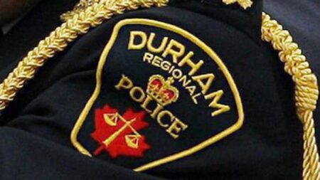Young Boy Injured by Falling Tree in Oshawa Young Boy Injured by Falling Tree in Oshawa