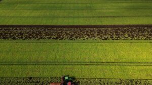 Carney to unveil new food security strategy