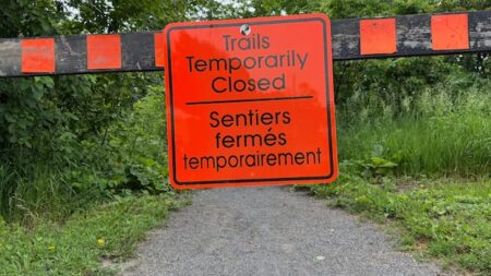 Coyote Attack Leads to Closure of Orléans Park Coyote Attack Leads to Closure of Orléans Park