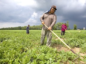 Farm worker isolation too strict, argues farmer