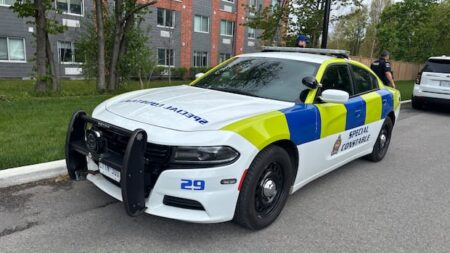 Fireworks Likely Sparked Police Investigation in South London Fireworks Likely Sparked Police Investigation in South London