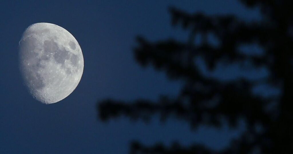 Viewing Opportunities in Ontario