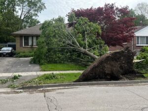 Storm Causes Damage in Southern Ontario