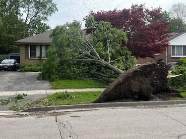 Storm Causes Damage in Southern Ontario