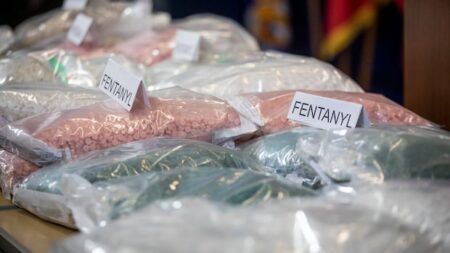 Surge in Drug-Related Deaths Raises Concerns in London