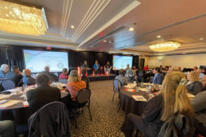 Collaborative Development Efforts in Blind River and Mississauga
