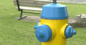 Kingston Man Faces Charges for Water Theft