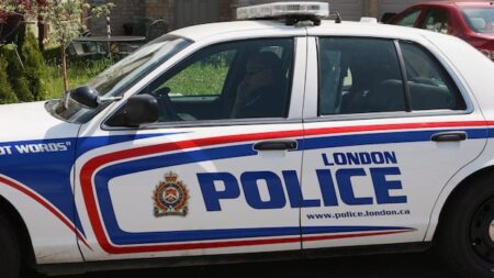 Man Sought After Reported Sexual Assault in North London