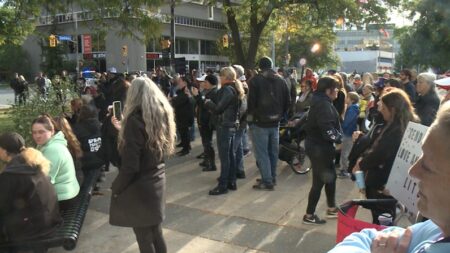 Rally in St. Catharines Calls for Child Protection Laws