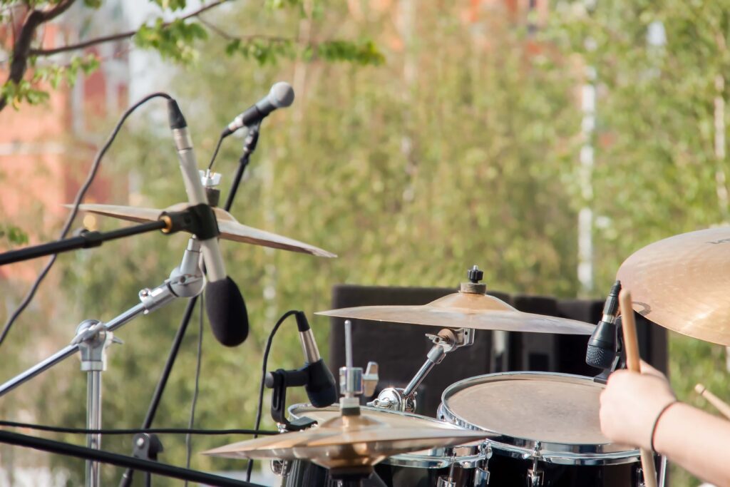 Punk Rock Picnic Makes a Comeback