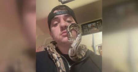 Ball Python Peanut Found After Sewage Plant Rescue