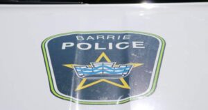 Search Ongoing for Dog That Attacked Child in Barrie
