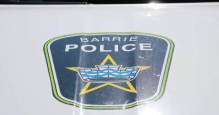 Search Ongoing for Dog That Attacked Child in Barrie