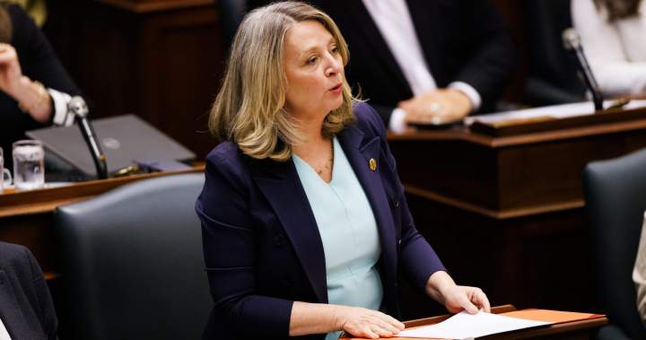 Ontario NDP Calls on Mark Carney to Halt Airport Plans Ontario NDP Calls on Mark Carney to Halt Airport Plans
