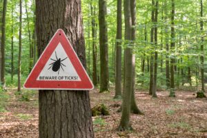 Summer means tick awareness across Ontario Summer means tick awareness across Ontario