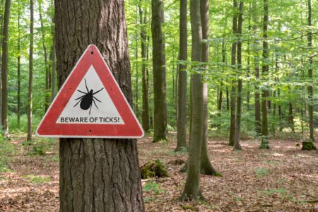 Summer means tick awareness across Ontario Summer means tick awareness across Ontario