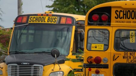 Teen from Tillsonburg Faces Charges After School Bus Incident