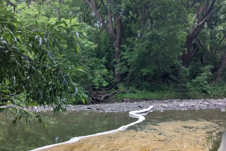 Diesel Spill in Toronto Raises Alarm for Local Wildlife
