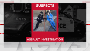 Investigation Underway Following Leslieville Fight Investigation Underway Following Leslieville Fight