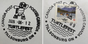 Exciting TurtleFest Happening This Weekend