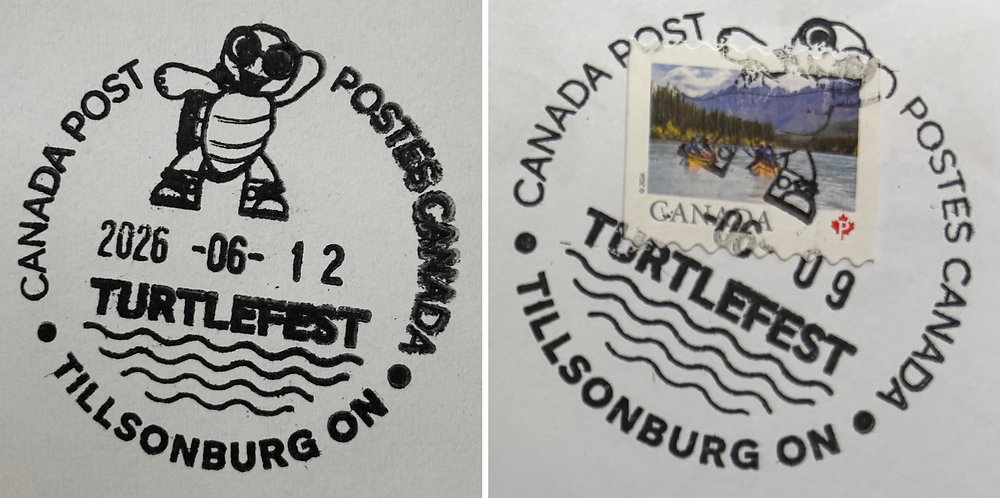 Exciting TurtleFest Happening This Weekend Exciting TurtleFest Happening This Weekend