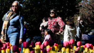 Ottawa’s Victoria Day Openings and Closures Ottawa’s Victoria Day Openings and Closures