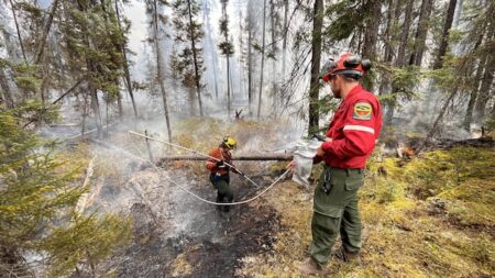 Fire Danger Levels Spike in Northwestern Ontario