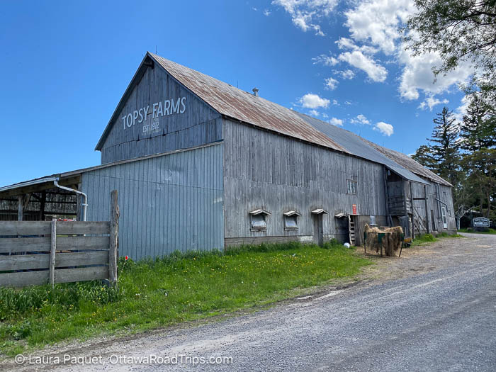 large grey barn with topsy farms sign