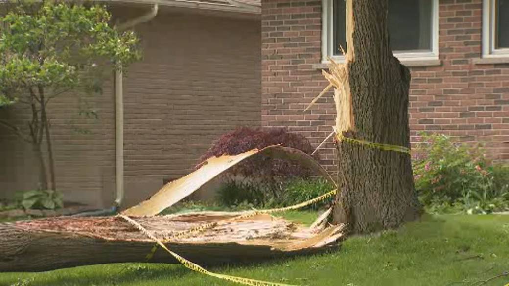 Click to play video: 'Severe storms leave widespread damage across London, Ont.'