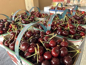 Basket of cherries