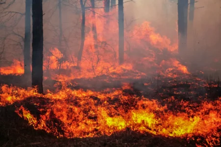 Fires Spread Across Northwestern Ontario