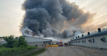 Huge Barn Fire Claims Thousands of Hogs in Ontario Huge Barn Fire Claims Thousands of Hogs in Ontario