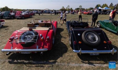 Celebrating 40 Years of British Cars in Oakville