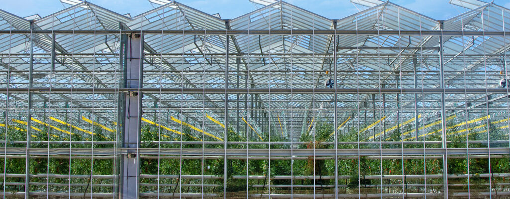 Major Funding Boost for U of G Agri-Food Research