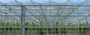 Major Funding Boost for U of G Agri-Food Research