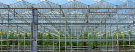 Major Funding Boost for U of G Agri-Food Research