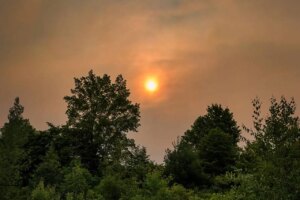 Smoke Alert for Mississauga, Brampton and Caledon Residents
