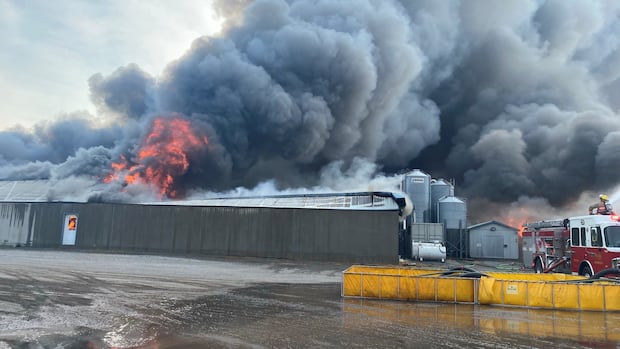 Massive Barn Fire Claims Thousands of Hogs in Ontario Massive Barn Fire Claims Thousands of Hogs in Ontario