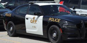 Barrie Driver Faces Charges After Park Incident