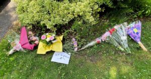 Boy who killed elderly woman in Pickering, Ont., apologizes during sentencing hearing | Ontario News
